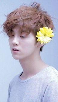 娱乐圈小鲜肉排名榜,颜值与才华并存的青春力量